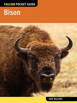 cover image of Bison